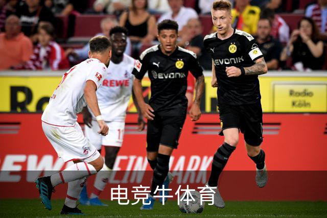 电竞牛体育公司介绍展示图